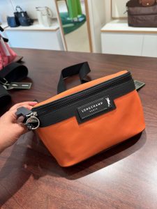 Longchamp Energy Bum/Belt Bag