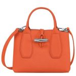 Longchamp Roseau S Orange