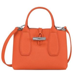 Longchamp Roseau S Orange